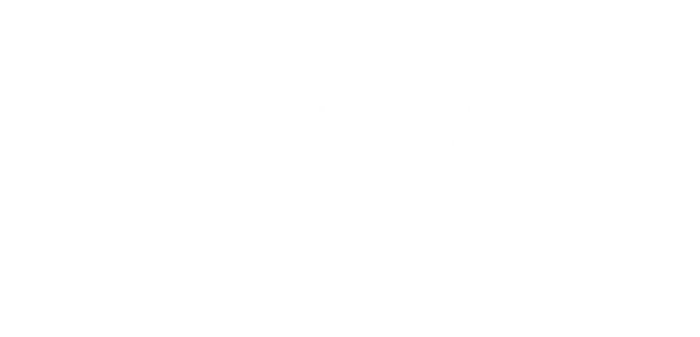 logo-4